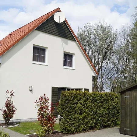 Buche Im Land Fleesensee Göhren-Lebbin