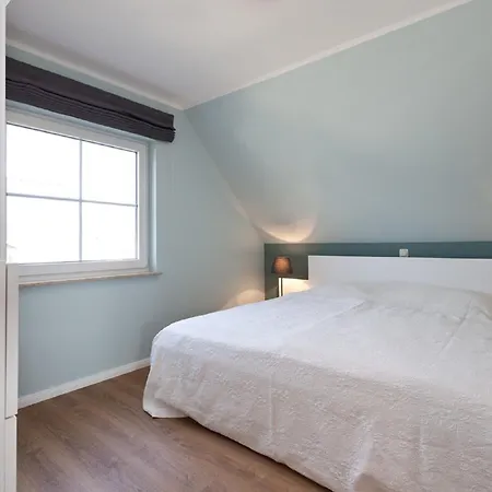 Buche Im Land Fleesensee Göhren-Lebbin