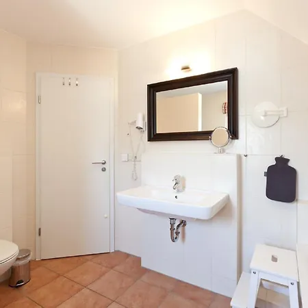 Buche Im Land Fleesensee