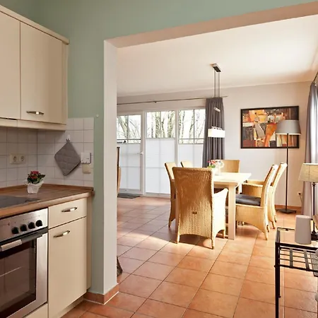 Buche Im Land Fleesensee * Göhren-Lebbin