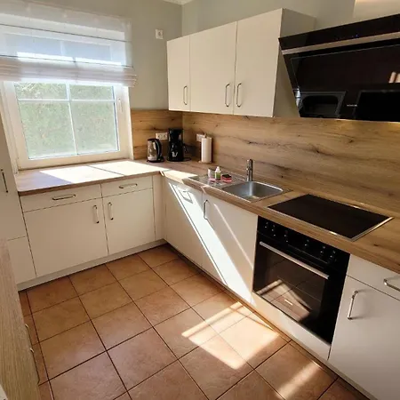 Buche Im Land Fleesensee