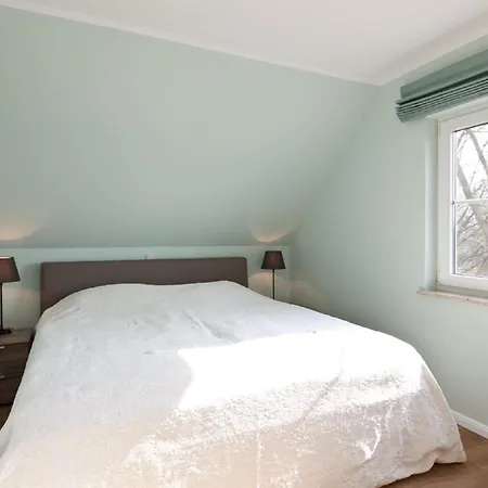 Buche Im Land Fleesensee Göhren-Lebbin