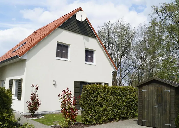 Buche Im Land Fleesensee Göhren-Lebbin