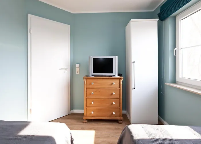 Buche Im Land Fleesensee