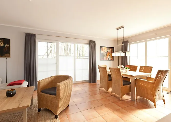 Buche Im Land Fleesensee