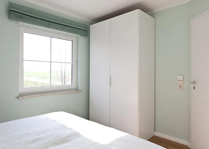 Buche Im Land Fleesensee Göhren-Lebbin