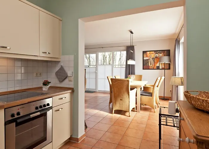 Buche Im Land Fleesensee *