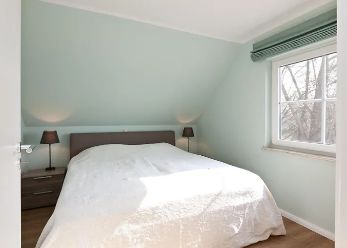 Buche Im Land Fleesensee Göhren-Lebbin